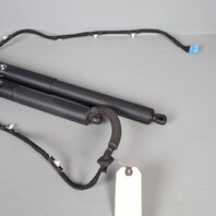 2011-2015 BMW X3 F25 Hatch Lift Support Strut Pair Set Right / Left 51247232003 OEM