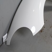 2012-2019 Volkswagen Beetle Left Driver Front Fender OEM 5C5821021C