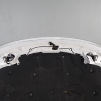 2009-2016 BMW Z4 E89 Hood Titan Silver OEM 41007325848 NOTE