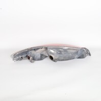 1999-2000 Porsche 911 996 Right Passenger Tail Light 99663141401 OEM NOTE