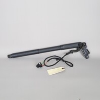 2007-2013 BMW X5 Left Driver Trunk Lid Lift Actuator Shock 51244887651 OEM