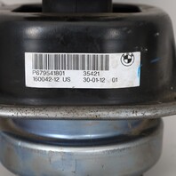 2009-2013 BMW X5 M57 Diesel Engine Motor Mount Set Pair 22116795418 OEM