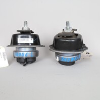 2009-2013 BMW X5 M57 Diesel Engine Motor Mount Set Pair 22116795418 OEM