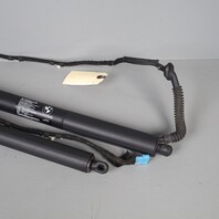 2011-2015 BMW X3 F25 Hatch Lift Support Strut Pair Set Right / Left 51247232003 OEM