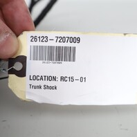 2011-2016 BMW 528i 535i 550i M5 Trunk Lid Shock Pair Set 51247207009 OEM