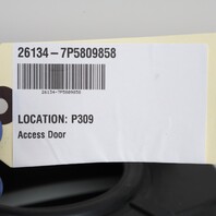 2015-2018 Porsche E-Hybrid Charge Port Access Door Flap White OEM 95850492000