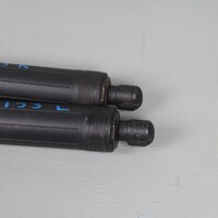2014-2018 BMW X5 Tailgate Trunk Lid Lift Shock Pair 51244823279 OEM