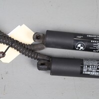 2014-2018 BMW X5 Tailgate Trunk Lid Lift Shock Pair 51244823279 OEM