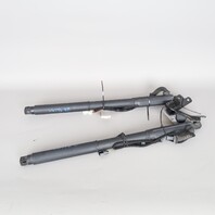 2007-2013 BMW X5 E70 Trunk Lid Lift Actuator Shock Pair 51247294587 OEM