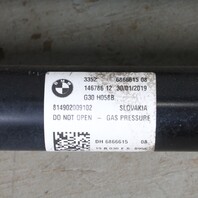2017-2020 BMW 530i 540i Rear Strut Shock Absorbers Pair OEM 33526866615