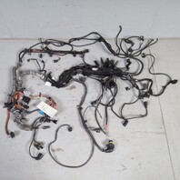 2009-2013 BMW X5 3.0 M57 Diesel Engine Wire Wiring Harness OEM 12518510901