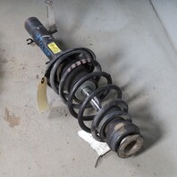 1998-2010 Volkswagen Beetle Front Strut Shock Absorber Set Right / Left OEM