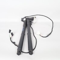 2007-2013 BMW X5 E70 Tailgate Trunk Lid Lift Actuator Shock Pair OEM