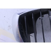 2002 BMW 330i Coupe Hood Kidney Grille Right 7064324 OEM