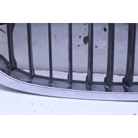 2002 BMW 330i Coupe Hood Kidney Grille Right 7064324 OEM
