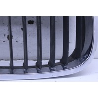 2002 BMW 330i Coupe Hood Kidney Grille Right 7064324 OEM
