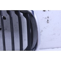 2002 BMW 330i Coupe Hood Kidney Grille Right 7064324 OEM