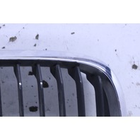 2002 BMW 330i Coupe Hood Kidney Grille Right 7064324 OEM