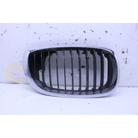 2002 BMW 330i Coupe Hood Kidney Grille Right 7064324 OEM 51137064324