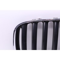 2004-2006 BMW X5 Upper Left Grille OEM