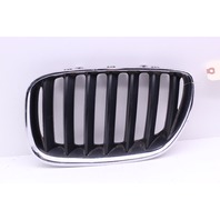 2004-2006 BMW X5 Upper Left Grille OEM
