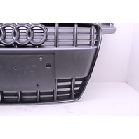 2009-2010 Audi TTS TTRS 8J Sport Front Grille 8J0853651F OEM