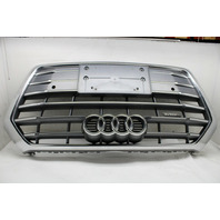 2018 2019 2020 Audi Q5 Front Bumper Grille Center OEM