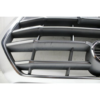 2018 2019 2020 Audi Q5 Front Bumper Grille Center OEM