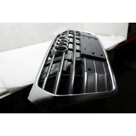 2018 2019 2020 Audi Q5 Front Bumper Grille Center OEM