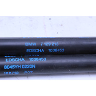 2010 2011 2012 2013 BMW M3 Convertible Trunk Lid Strut Shock OEM
