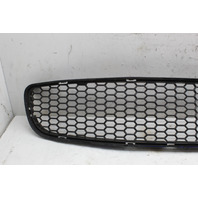 2012-2019 BMW M6 Front Bumper Grille Center OEM
