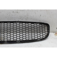 2012-2019 BMW M6 Front Bumper Grille Center OEM