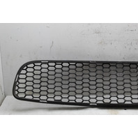2012-2019 BMW M6 Front Bumper Grille Center OEM