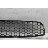 2012-2019 BMW M6 Front Bumper Grille Center OEM