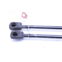 2013-2015 BMW X1 Rear Hatch Trunk Lid Shock Strut Pair 2990136 OEM