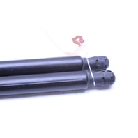 2013-2015 BMW X1 Rear Hatch Trunk Lid Shock Strut Pair 2990136 OEM