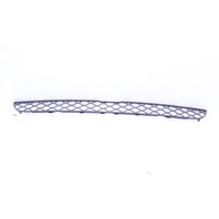 2007-2010 BMW X5 3.0 Front Bumper Grille Center OEM