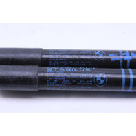 2018 BMW 430i Hood Shock Shocks Pair OEM