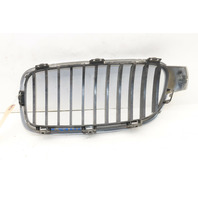 2012 2013 2014 2015 BMW 328i 335i Front Bumper Grille Right Kidney OEM