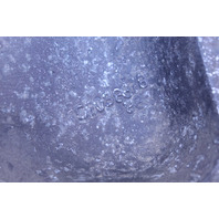 1996 1997 1998 1999 2000 2001 Dodge Ram 1500 Wheel 16 X 7 Rim OEM