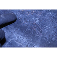 2017-2022 Porsche Boxster Cayman 718 Rear Wheel 20 X 10 Rim NOTE OEM