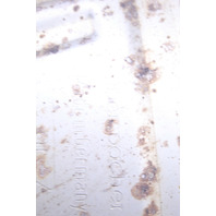 2009-2012 Porsche 911 997 3.8 Exhaust Muffler Left OEM