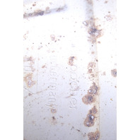 2009-2012 Porsche 911 997 3.8 Exhaust Muffler Left OEM