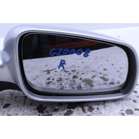 1999 2000 2001 2002 2003 2004 Volkswagen Jetta Golf Right Door Mirror Side View OEM