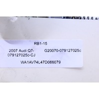 Audi High Pressure Fuel Pump 079127025C