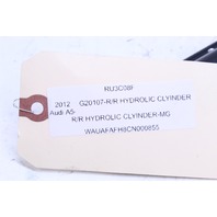 2013-2015 Audi A5 S5 RS5 Right Convertible Top Lift Cylinder 8F0871796 OEM