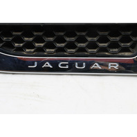 2014 2015 2016 2017 2018 2019 Jaguar F-Type Fender Molding Left OEM