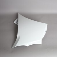 2012-2019 Volkswagen Beetle Left Front Upper Fender Candy White OEM Used