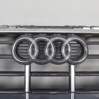 2021-2024 Audi Q5 Front Bumper Grille Center Upper 80A853651AF OEM Used