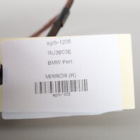 2003-2008 BMW Z4 E85 Right Side View Door Mirror 51167189730 OEM